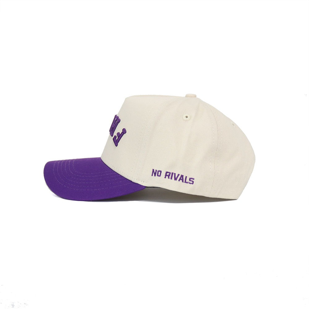 Upside Down FROGS Hat - TCU - Classic Colors - No Rivals