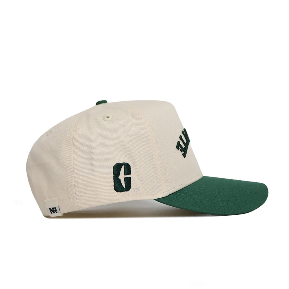 Upside Down CHARLOTTE Hat - UNCC - Classic Colors - No Rivals