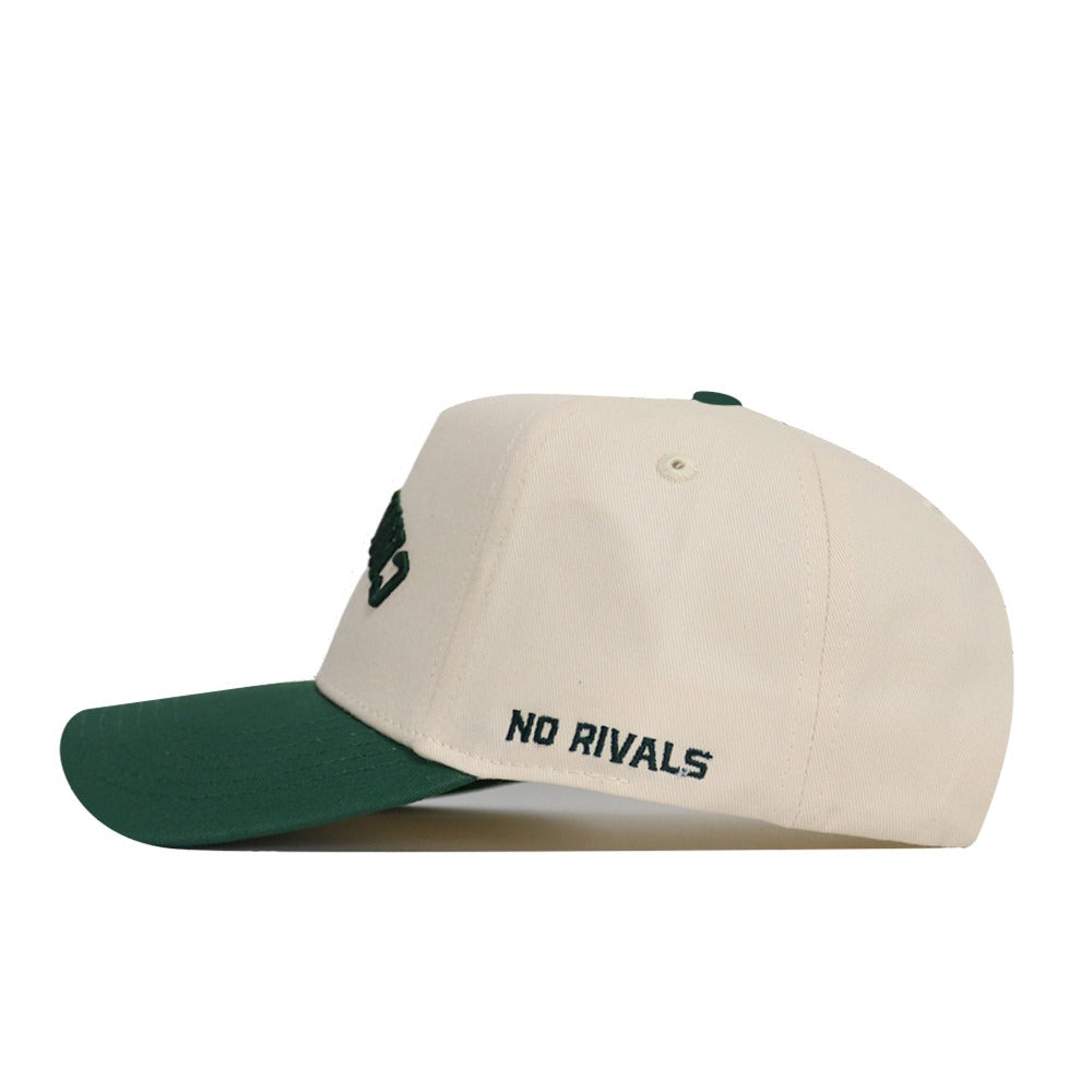 Upside Down CHARLOTTE Hat - UNCC - Classic Colors - No Rivals