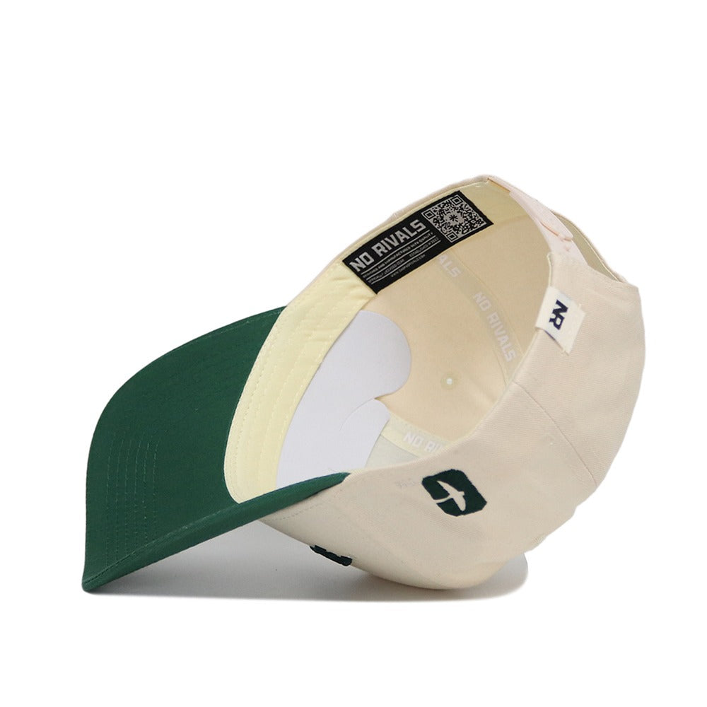 Upside Down CHARLOTTE Hat - UNCC - Classic Colors - No Rivals
