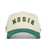 Upside Down BISON Hat - NDSU - Classic Colors - No Rivals