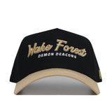 Wake Forest Retro Script Hat - No Rivals
