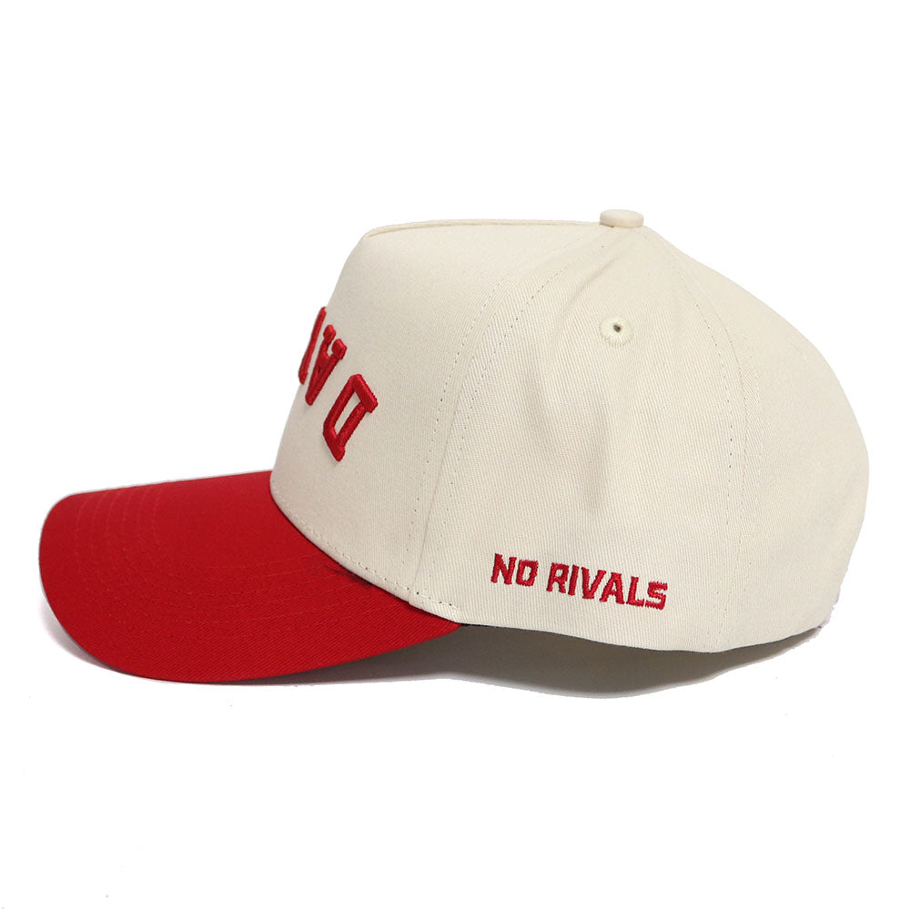 Upside Down DAWGS Hat - Georgia - Classic Colors - No Rivals