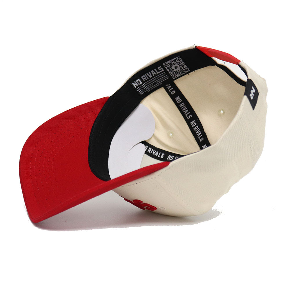 Upside Down DAWGS Hat - Georgia - Classic Colors - No Rivals