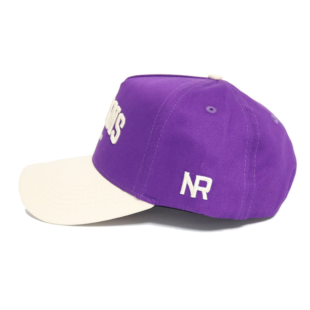Tarleton TEXANS Established Hat - No Rivals