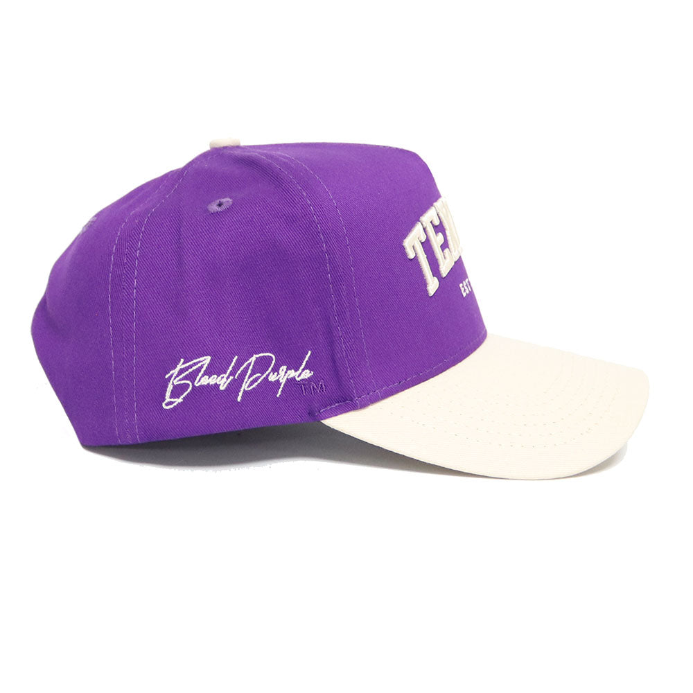 Tarleton TEXANS Established Hat - No Rivals