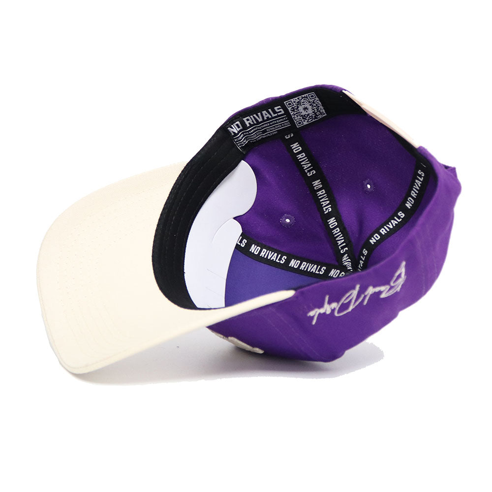 Tarleton TEXANS Established Hat - No Rivals