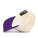 TCU Triangle Game Cap Hat - No Rivals