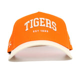 Clemson TIGERS Established Hat - No Rivals