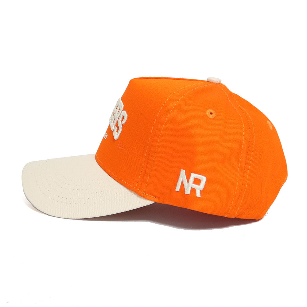 Clemson TIGERS Established Hat - No Rivals