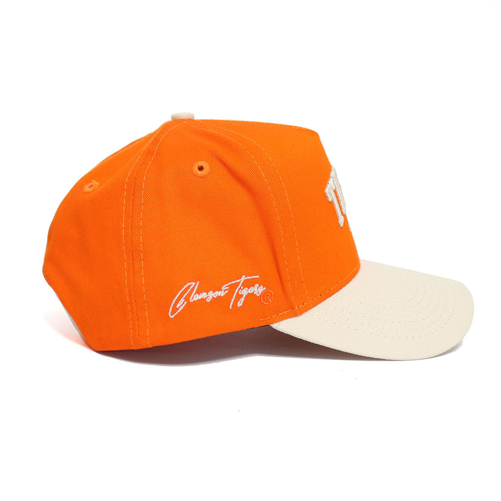 Clemson TIGERS Established Hat - No Rivals