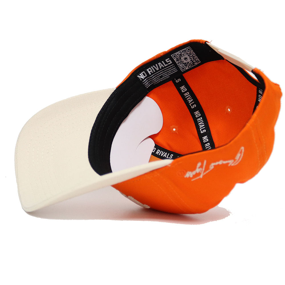 Clemson TIGERS Established Hat - No Rivals