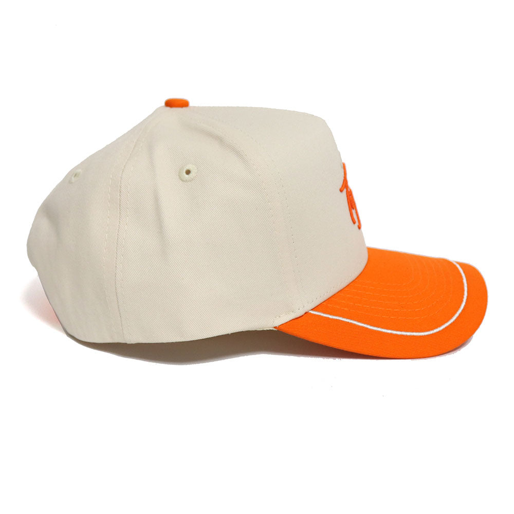 Clemson Tigers ALOYO Hat - No Rivals