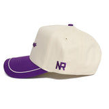 Tarleton State Texans ALOYO Hat - No Rivals
