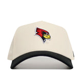 Illinois State Patch Hat - No Rivals