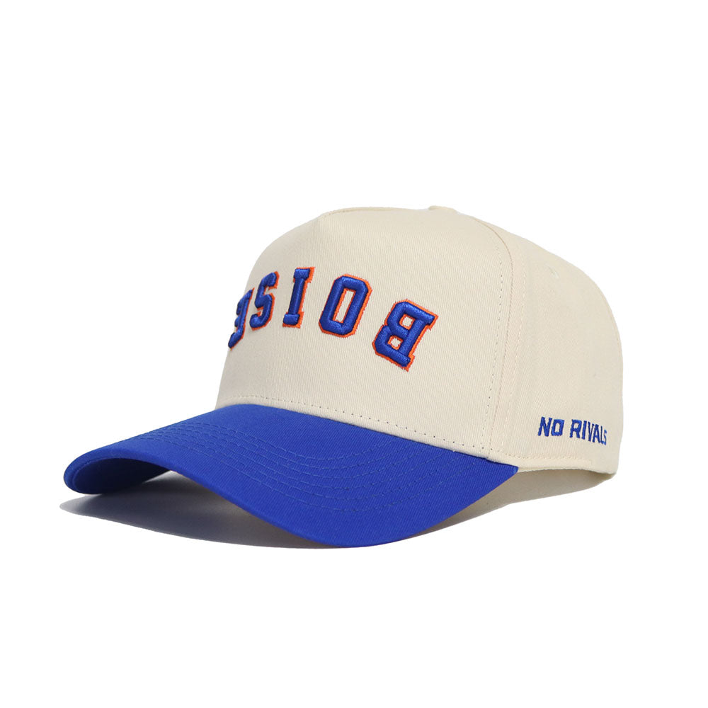Upside Down BOISE Hat - Classic Colors - No Rivals