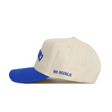 Upside Down BYU COUGARS Hat - No Rivals