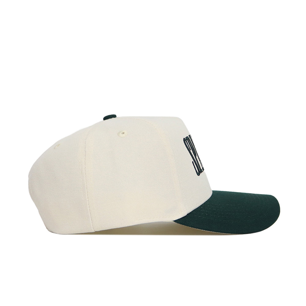 Michigan State Retro Block Hat - No Rivals