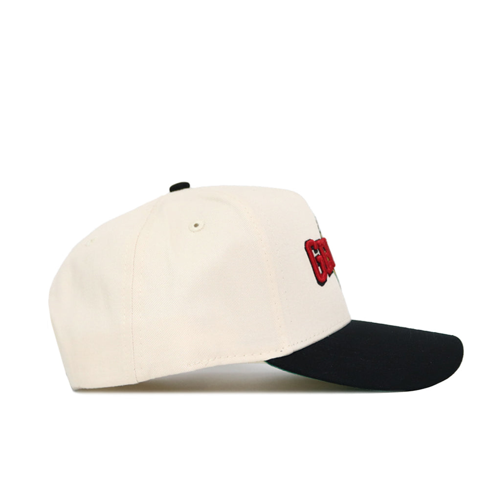 Georgia Ballpark Hat - No Rivals