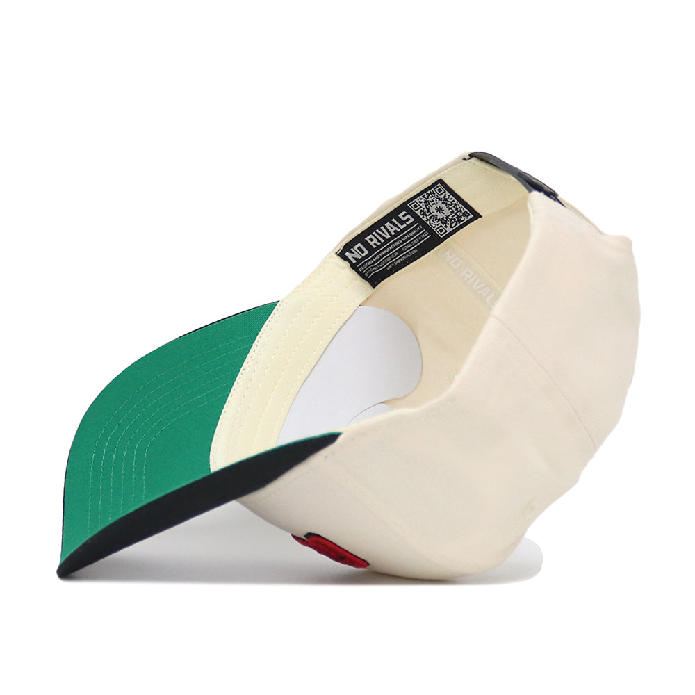 Georgia Ballpark Hat - No Rivals