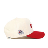 Upside Down 'DOGS Hat - Fresno State - Classic Colors - No Rivals