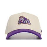 JMU Dukes Patch Hat - No Rivals