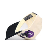 Tarleton State Alma Mater Hat - Classic