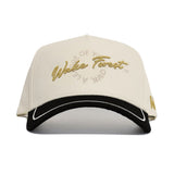Wake Forest ALOYO Hat - No Rivals