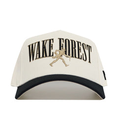 Wake Forest Retro Block Hat - No Rivals
