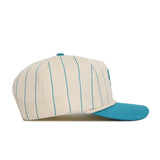 Coastal Carolina Pinstripe Hat - No Rivals