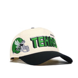 UNT Alma Mater Hat - Classic - No Rivals