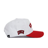 Upside Down UNLV REBELS Hat - Classic Colors - No Rivals