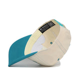 Coastal Carolina Vintage Hat - No Rivals