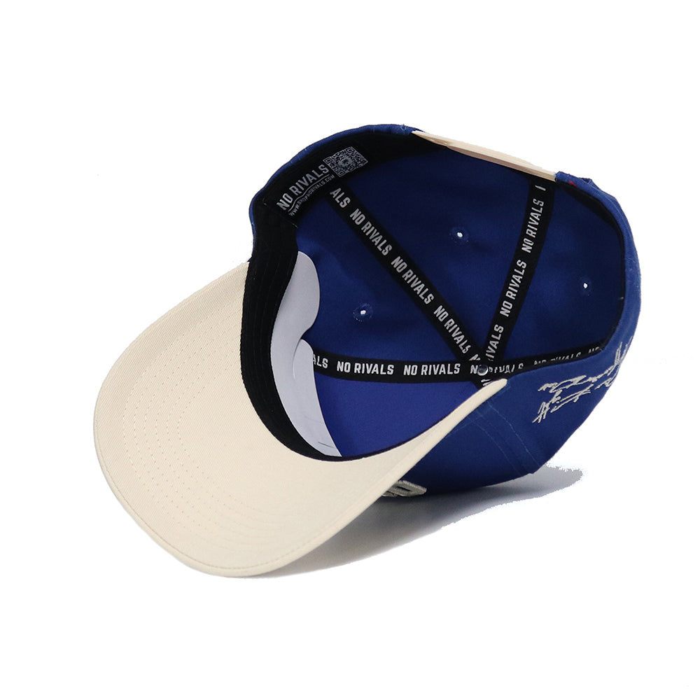 OWLS Established Hat - No Rivals