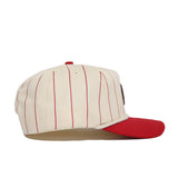 Georgia Pinstripe Hat - No Rivals