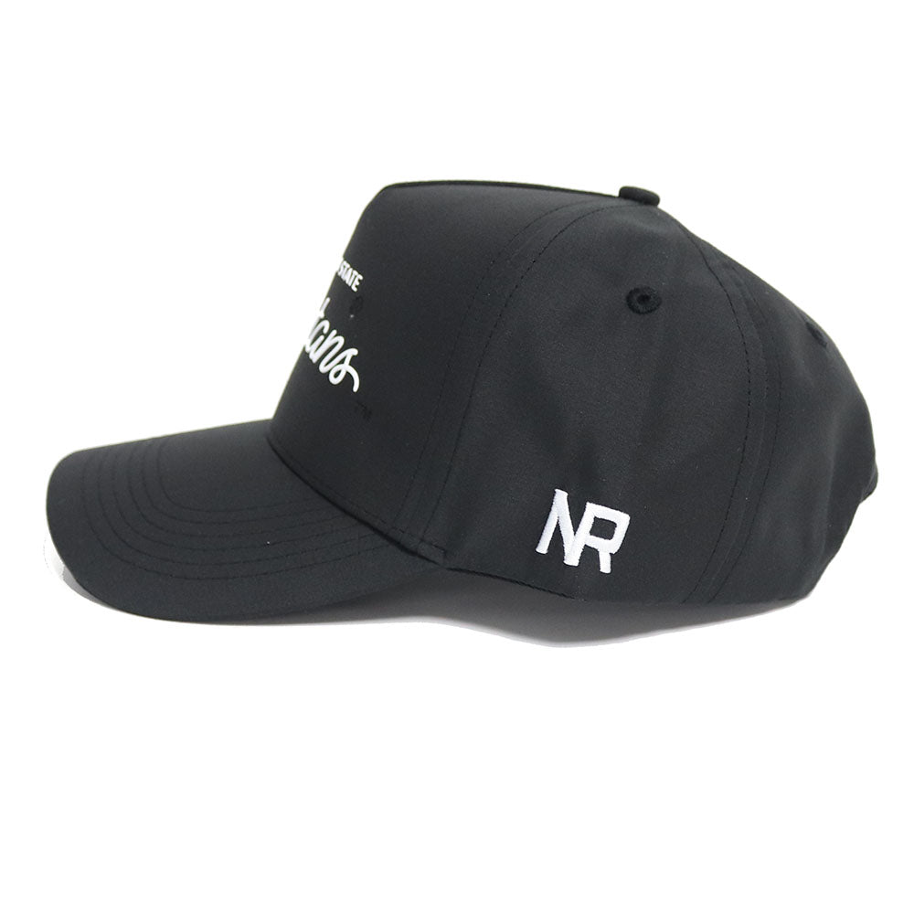 Michigan State Athletic Legacy Hat - No Rivals