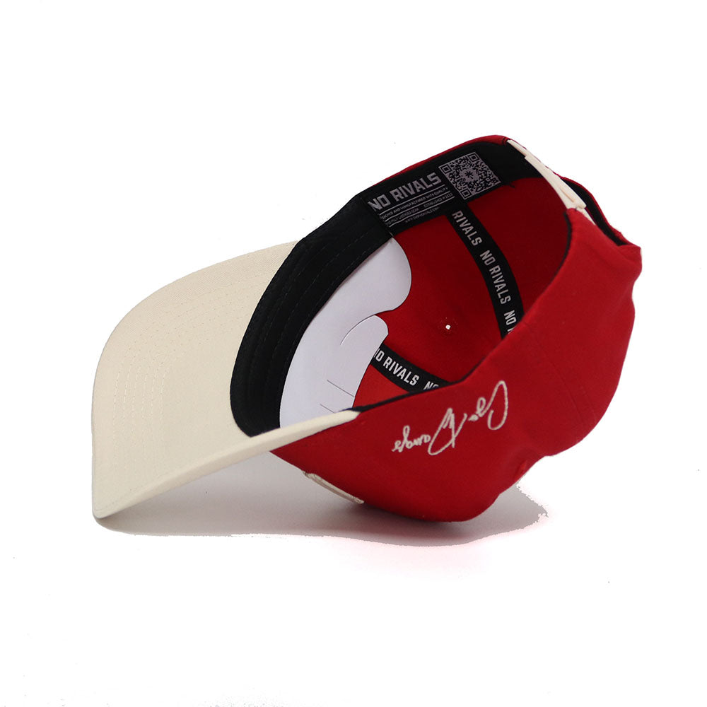 Georgia DAWGS Established Hat - No Rivals