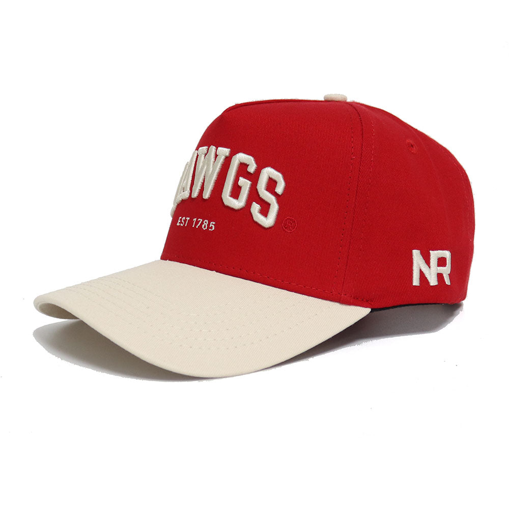 Georgia DAWGS Established Hat - No Rivals