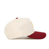 Iowa State Patch Hat - No Rivals