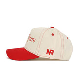 Illinois State Vintage Hat - No Rivals