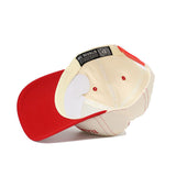 Illinois State Vintage Hat - No Rivals
