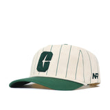 UNC Charlotte Pinstripe Hat - No Rivals