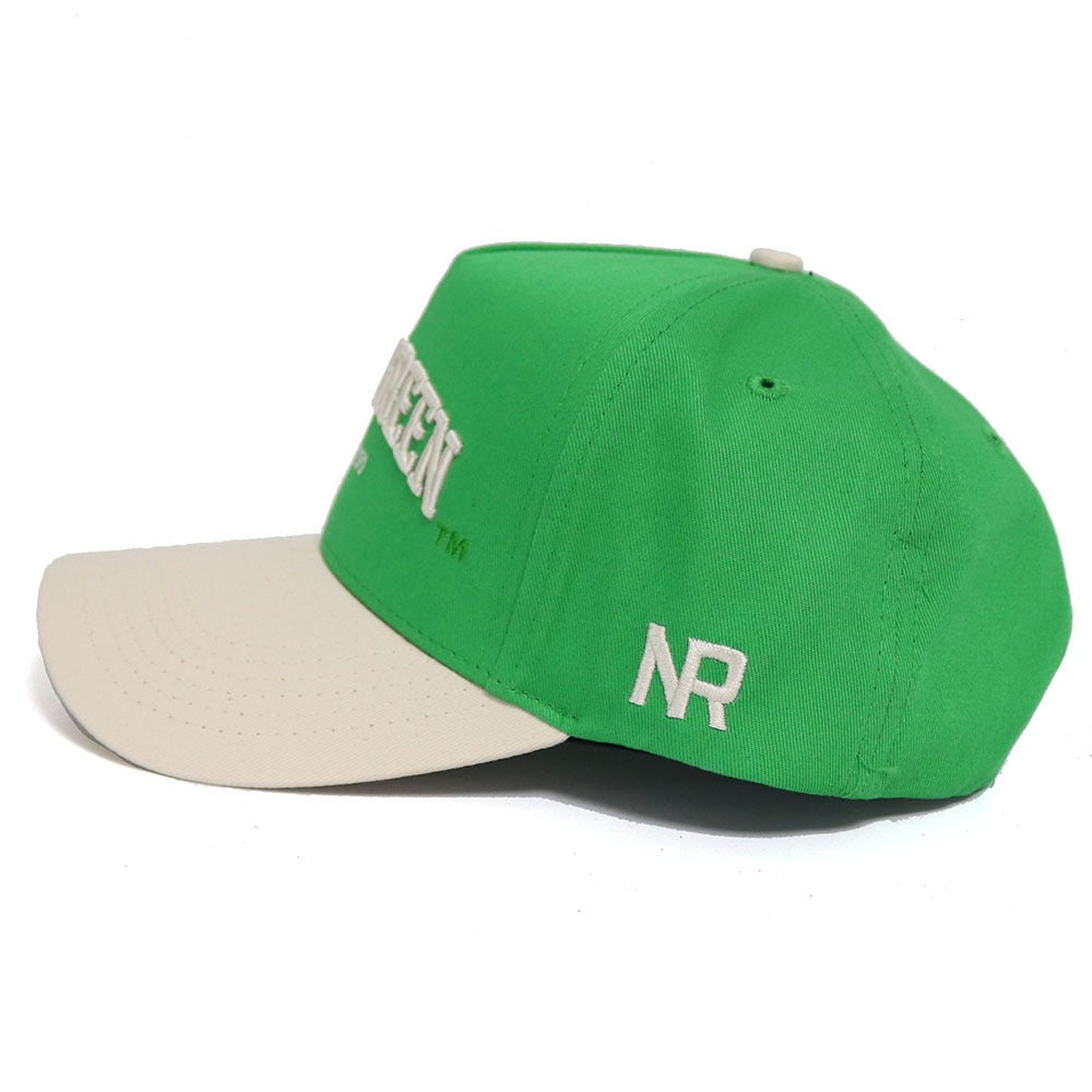 MEAN GREEN Established Hat - No Rivals