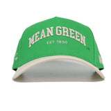 MEAN GREEN Established Hat - No Rivals