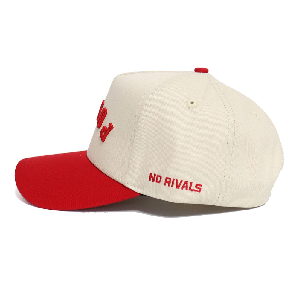 Upside Down PONIES Hat - Classic Colors - No Rivals
