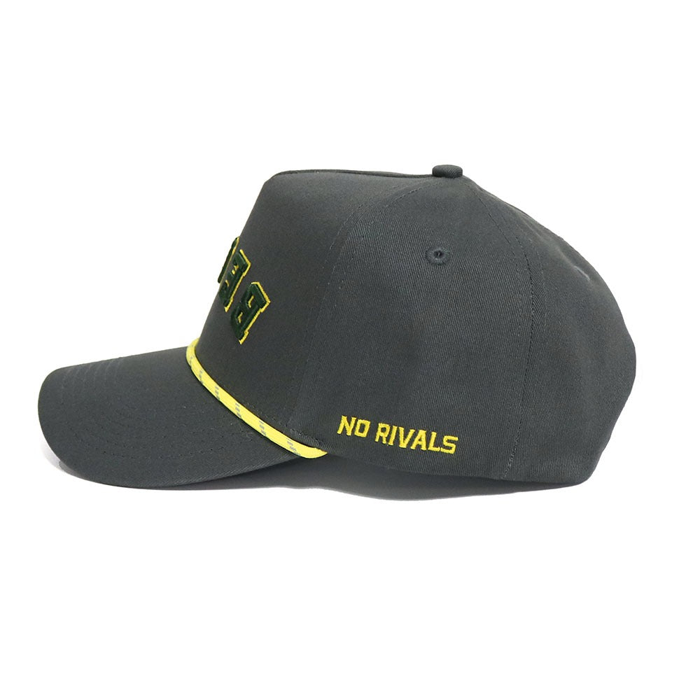 BEARS Hat - Grayout - No Rivals