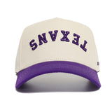 TEXANS Hat - No Rivals