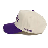 TEXANS Hat - No Rivals