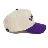 TEXANS Hat - No Rivals