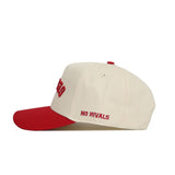 Upside Down GEORGIA Hat - Classic Colors - No Rivals